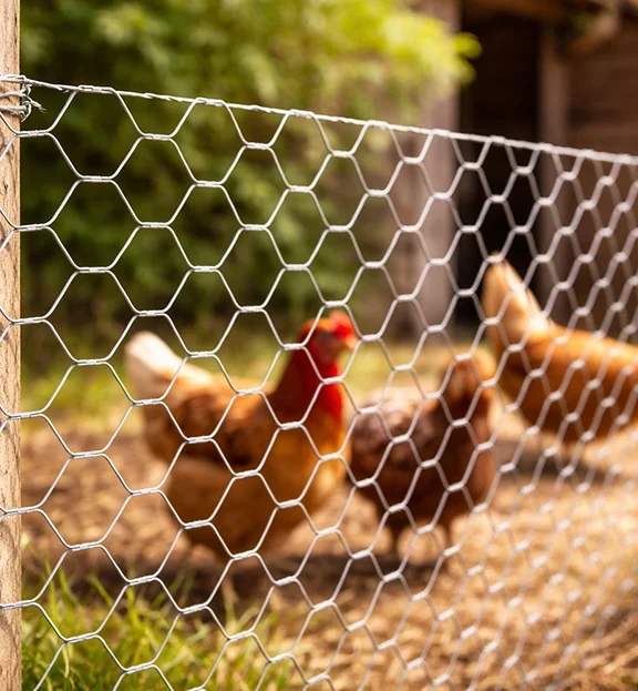 Gaziantep’te küçük ölçekli hayvancılıkla uğraşanlar için en önemli konulardan biri hayvanların güvenliğini sağlamak ve alanı doğru şekilde çevrelemektir. Tavuk, hindi ya da benzeri küçükbaş hayvanların korunması için en çok tercih edilen çözümlerden biri altıgen kümes çit teli sistemleridir.